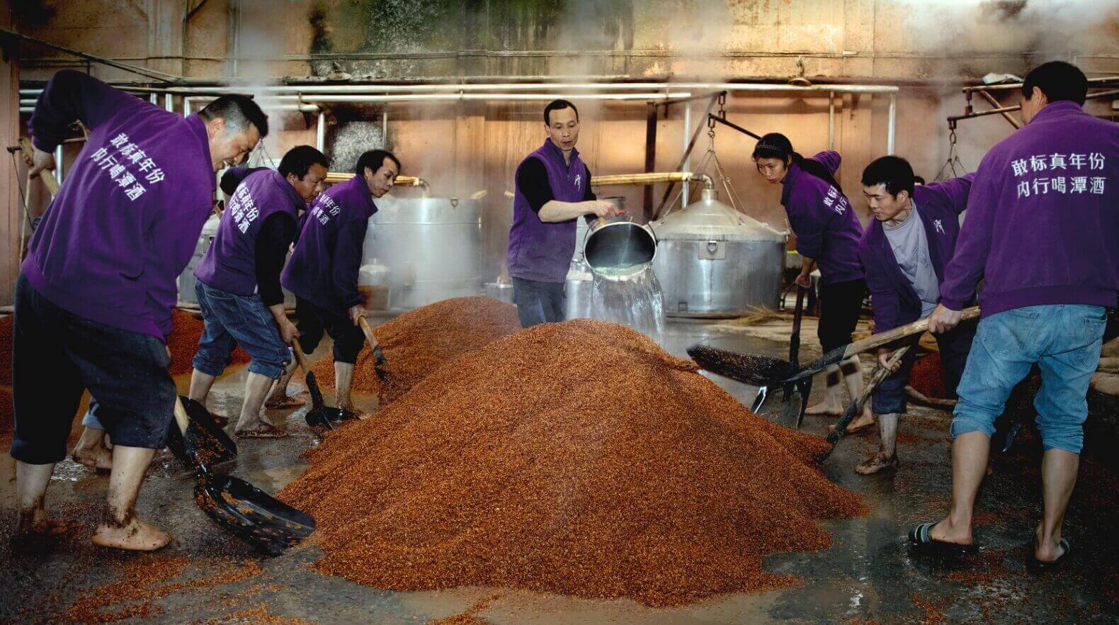 奇异果体育app网页版酱香真年份怎么样