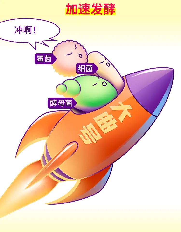 奇异果体育app网页版-酱酒内行大师班第二课-制曲原料小麦